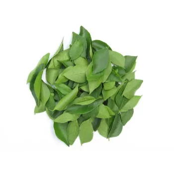 Dry Curry Leaves